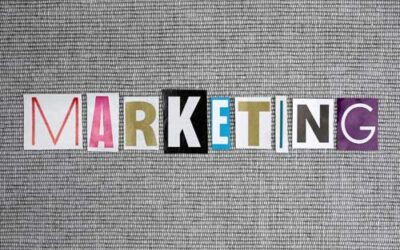 The Crucial Role of Marketing in Business Success